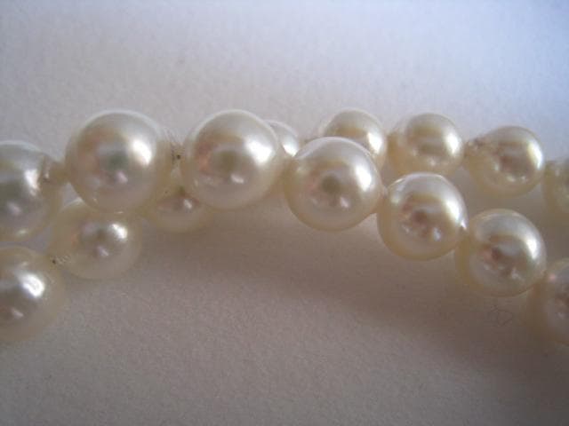 Akoya pearl necklace featuring 7.0 to 7.5mm pearls with silver fittings, 43cm length