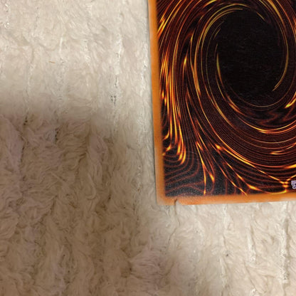 Yu-Gi-Oh Magician of Black Chaos — Japanese