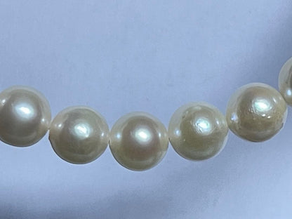 Yamato Akoya genuine 7mm pearl necklace and earrings set in champagne gold with white gold posts