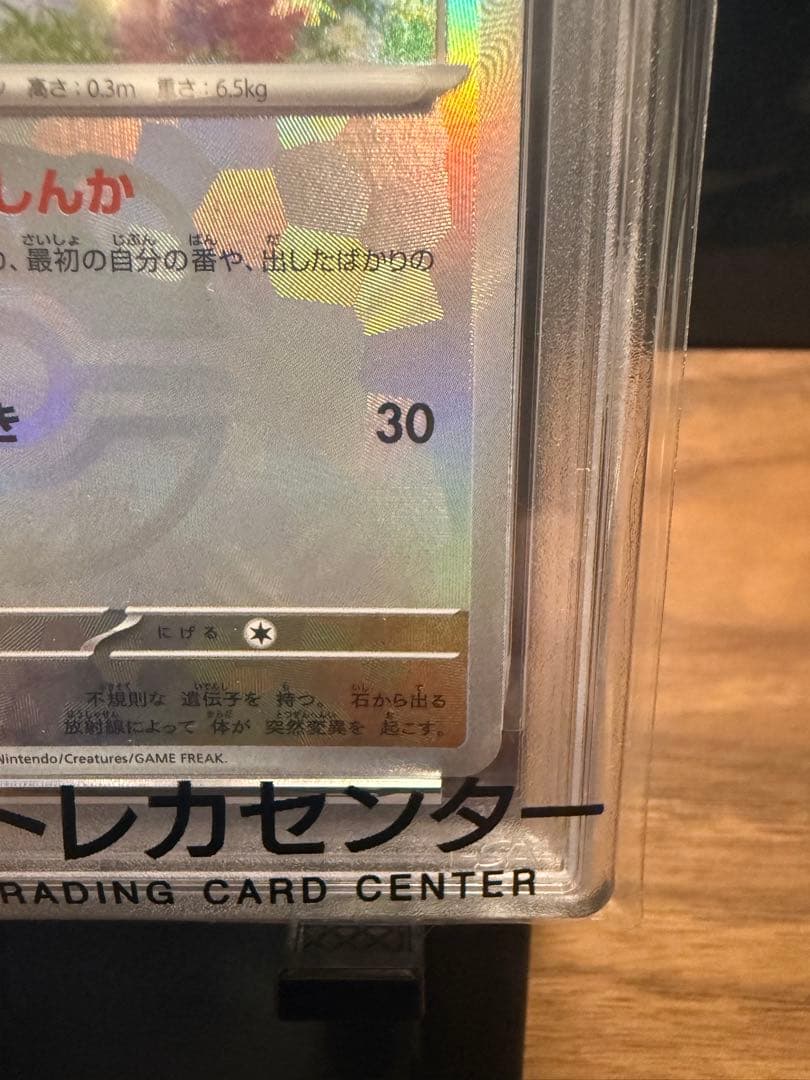 PSA 10 Pokemon Eevee — SV High Class Pack Terastal Festival ex — Japanese