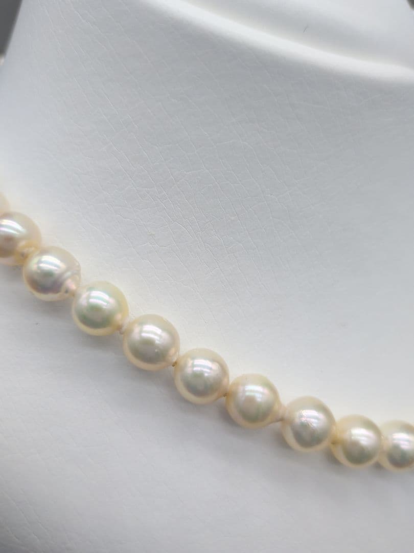 Akoya genuine pearl necklace with 7-7.5mm champagne tone pearls and silver clasp, total length 42.3cm