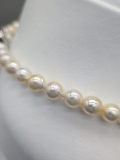 Akoya genuine pearl necklace with 7-7.5mm champagne tone pearls and silver clasp, total length 42.3cm