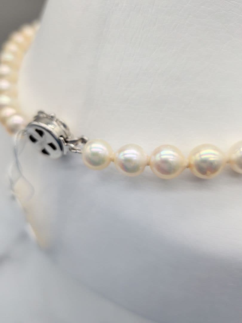 Akoya genuine pearl necklace with 7-7.5mm champagne tone pearls and silver clasp, total length 42.3cm