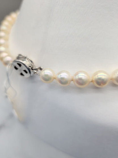 Akoya genuine pearl necklace with 7-7.5mm champagne tone pearls and silver clasp, total length 42.3cm