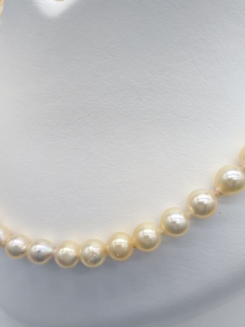 Akoya genuine pearl necklace with 7-7.5mm champagne tone pearls and silver clasp, total length 42.3cm