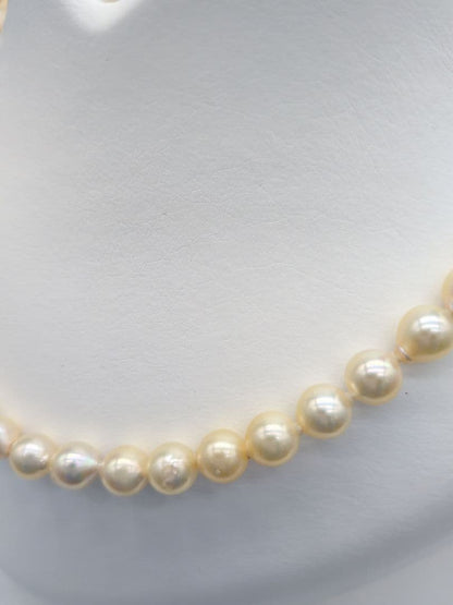 Akoya genuine pearl necklace with 7-7.5mm champagne tone pearls and silver clasp, total length 42.3cm