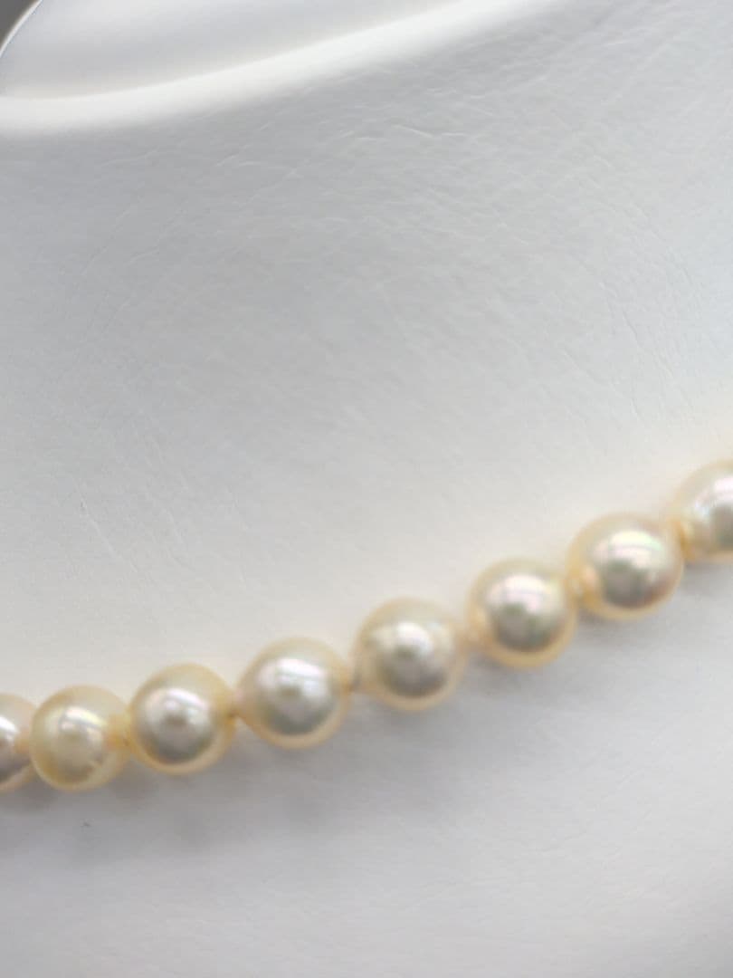 Akoya genuine pearl necklace with 7-7.5mm champagne tone pearls and silver clasp, total length 42.3cm