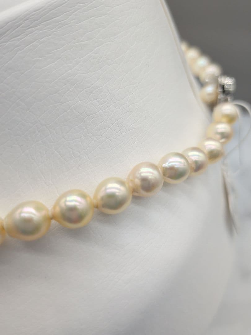 Akoya genuine pearl necklace with 7-7.5mm champagne tone pearls and silver clasp, total length 42.3cm