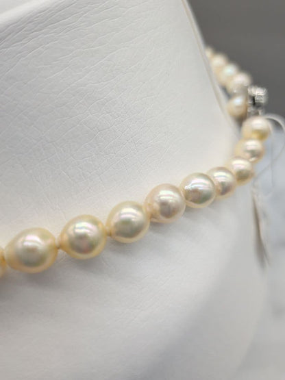 Akoya genuine pearl necklace with 7-7.5mm champagne tone pearls and silver clasp, total length 42.3cm