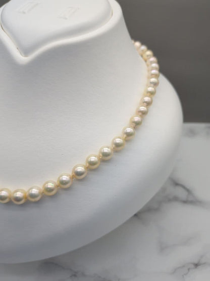 Akoya genuine pearl necklace with 7-7.5mm champagne tone pearls and silver clasp, total length 42.3cm