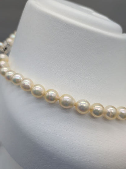 Akoya genuine pearl necklace with 7-7.5mm champagne tone pearls and silver clasp, total length 42.3cm
