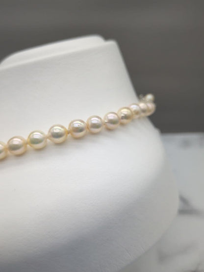 Akoya genuine pearl necklace with 7-7.5mm champagne tone pearls and silver clasp, total length 42.3cm