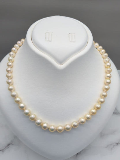 Akoya genuine pearl necklace with 7-7.5mm champagne tone pearls and silver clasp, total length 42.3cm