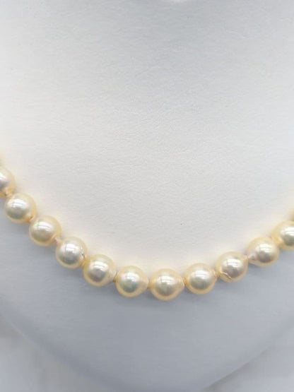 Akoya genuine pearl necklace with 7-7.5mm champagne tone pearls and silver clasp, total length 42.3cm