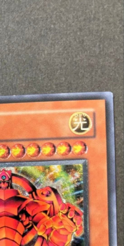 Yu-Gi-Oh The True Dracos, The Illuminated — Japanese