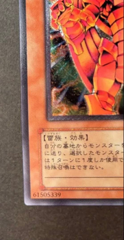 Yu-Gi-Oh The True Dracos, The Illuminated — Japanese