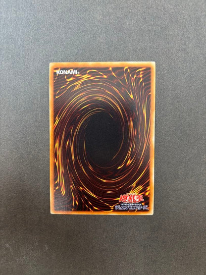 Yu-Gi-Oh The True Dracos, The Illuminated — Japanese