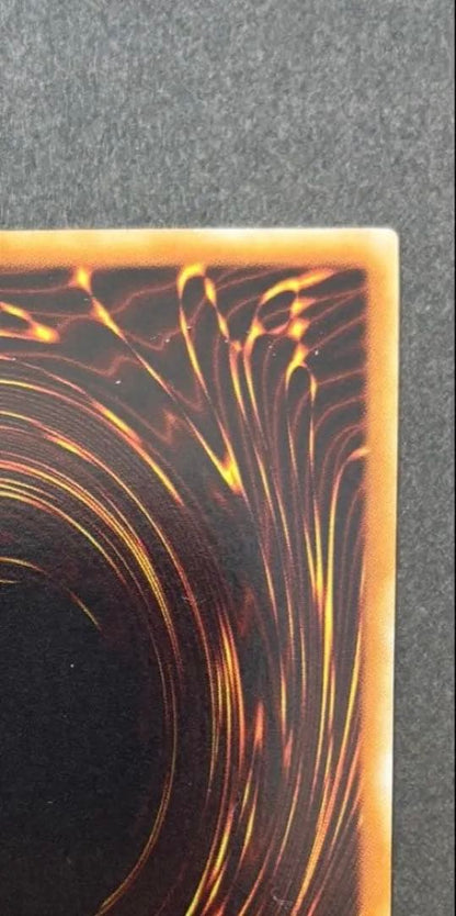 Yu-Gi-Oh The True Dracos, The Illuminated — Japanese