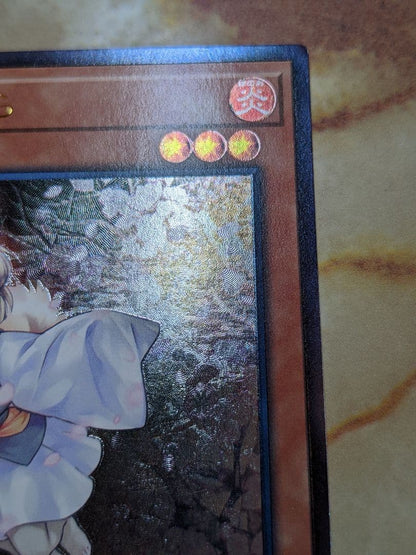 Yu-Gi-Oh Ash Blossom & Joyous Spring — Japanese