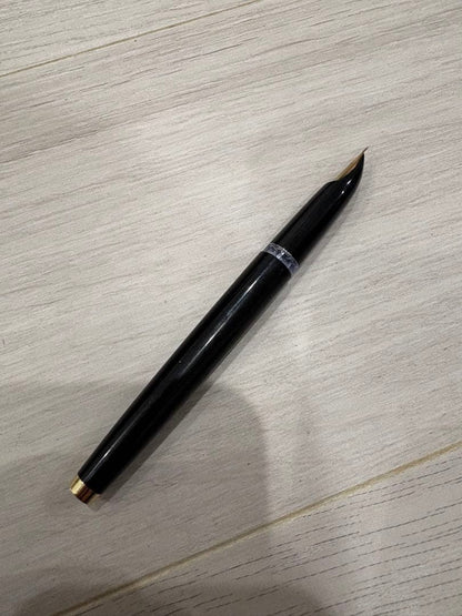 Black Pilot fountain pen with 14K gold tip shown on white background