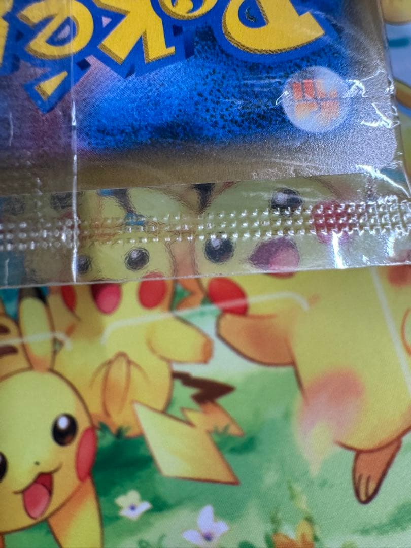 Pokemon Charizard PROMO — SM-P Promo Card 366/SM-P — Japanese
