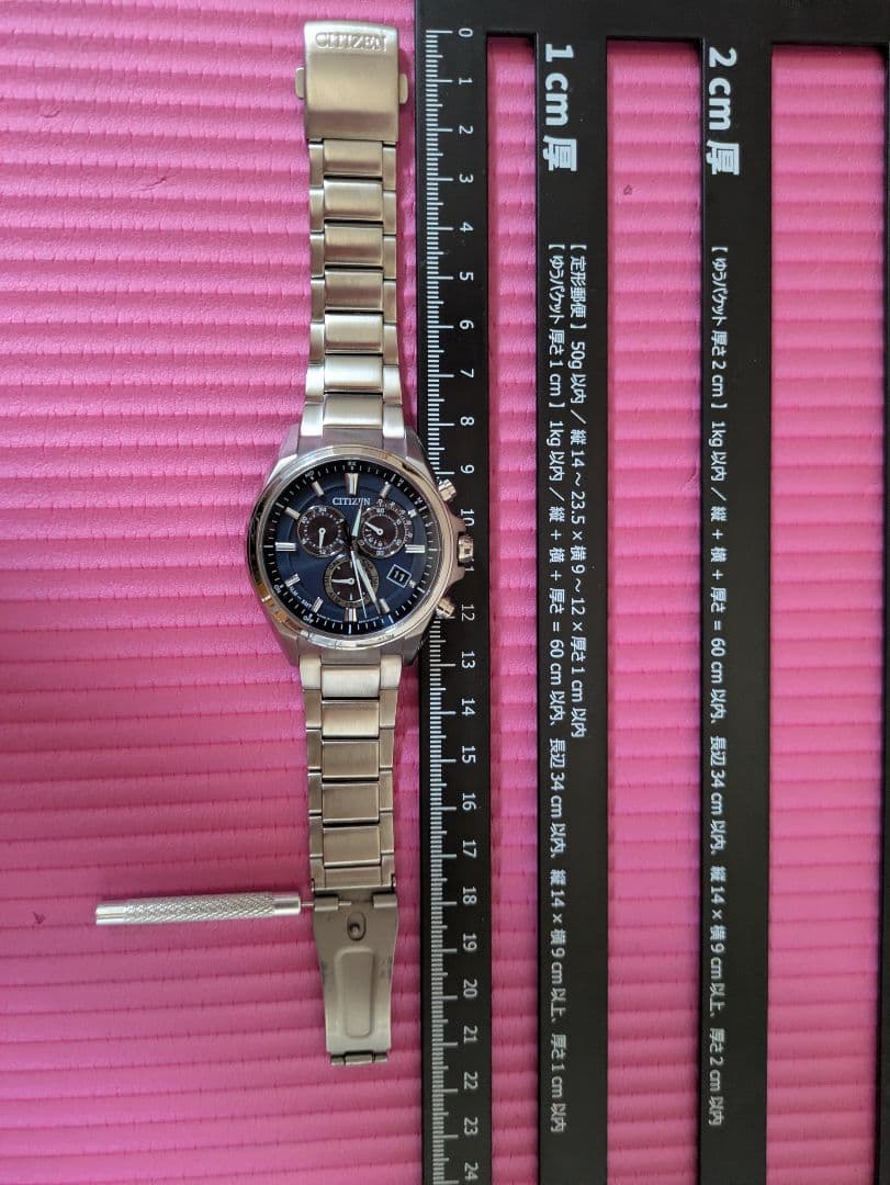Citizen ATTESA E660 Solar Men's Watch — Japanese