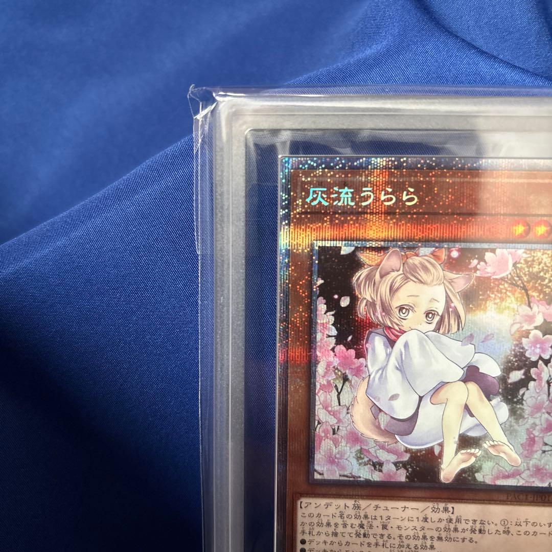 Yu-Gi-Oh Ash Blossom & Joyous Spring — Japanese