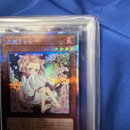 Yu-Gi-Oh Ash Blossom & Joyous Spring — Japanese