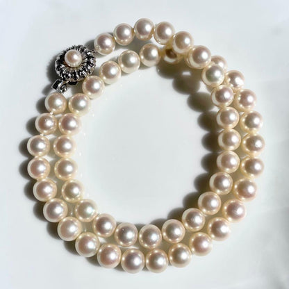 Akoya pearl necklace with 7.5-8mm white pearls and silver clasp displayed on a white background