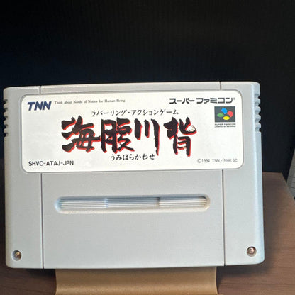 Super Famicom game Umi Hiragai Kawa Se cartridge with box showing wear and tear