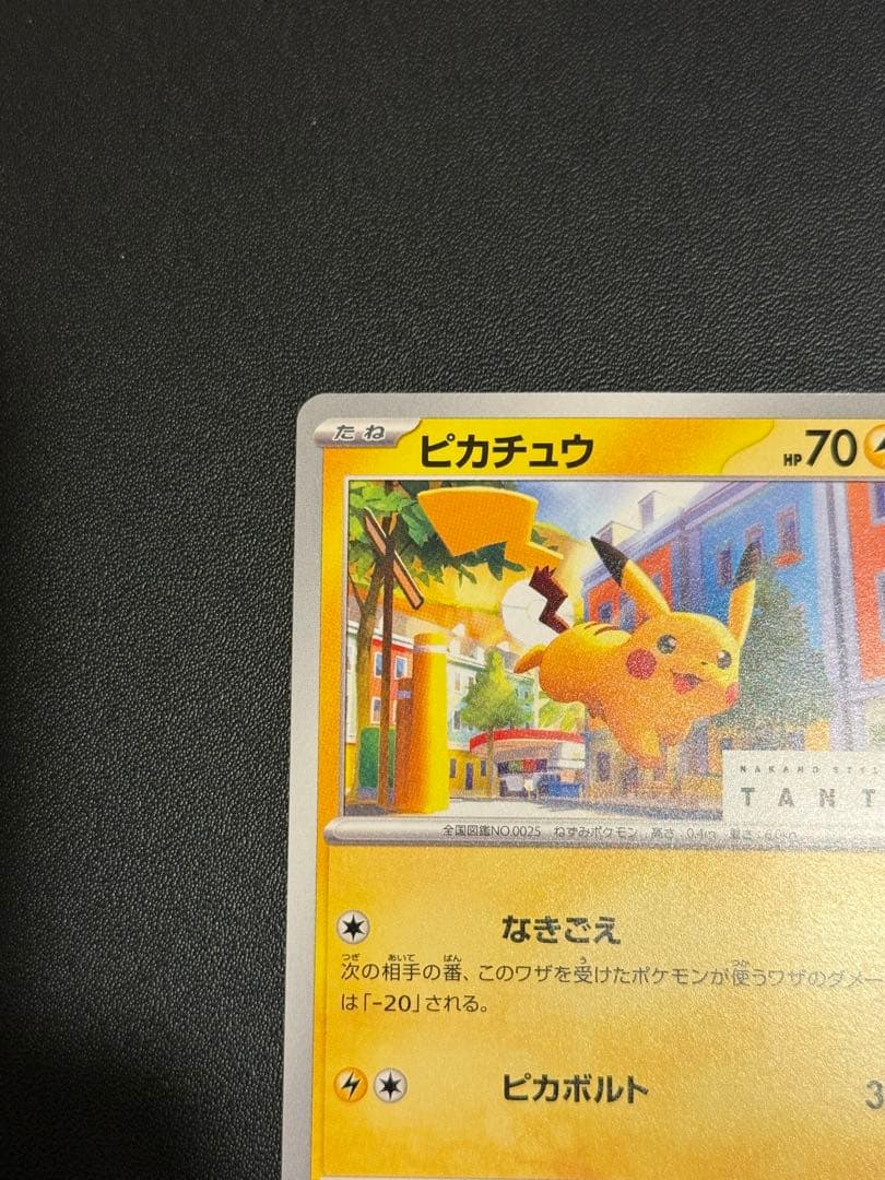 Pokemon Pikachu — Japanese