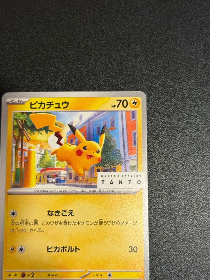 Pokemon Pikachu — Japanese