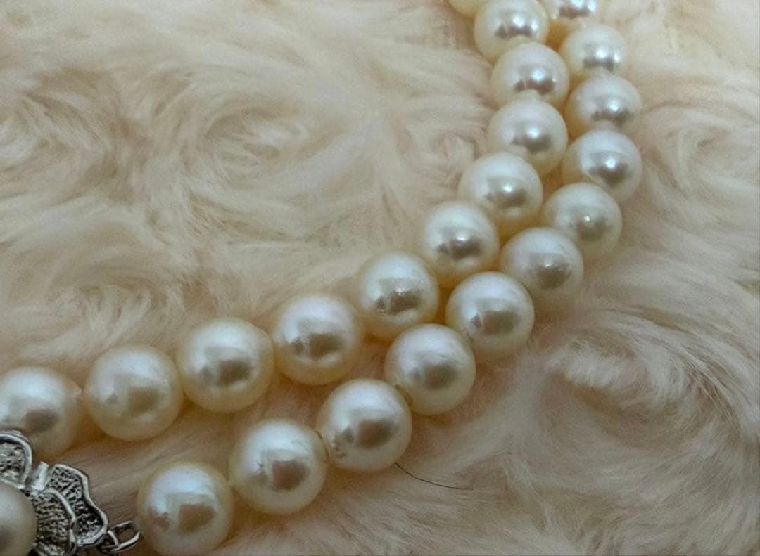 Honest Tsubamaki Akoya pearl necklace with 6.5mm pearls and strong shine on a white background