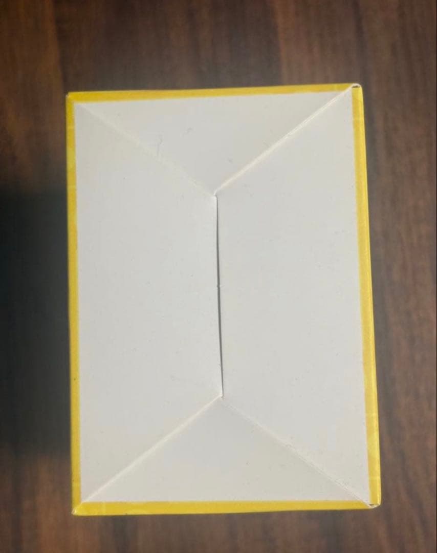 Pokemon Pikachu Box — Japanese