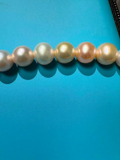 Close-up of a single lustrous Akoya pearl on a white background