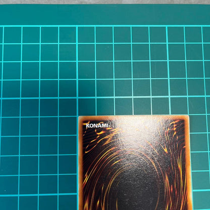 Yu-Gi-Oh Summoned Skull — Japanese