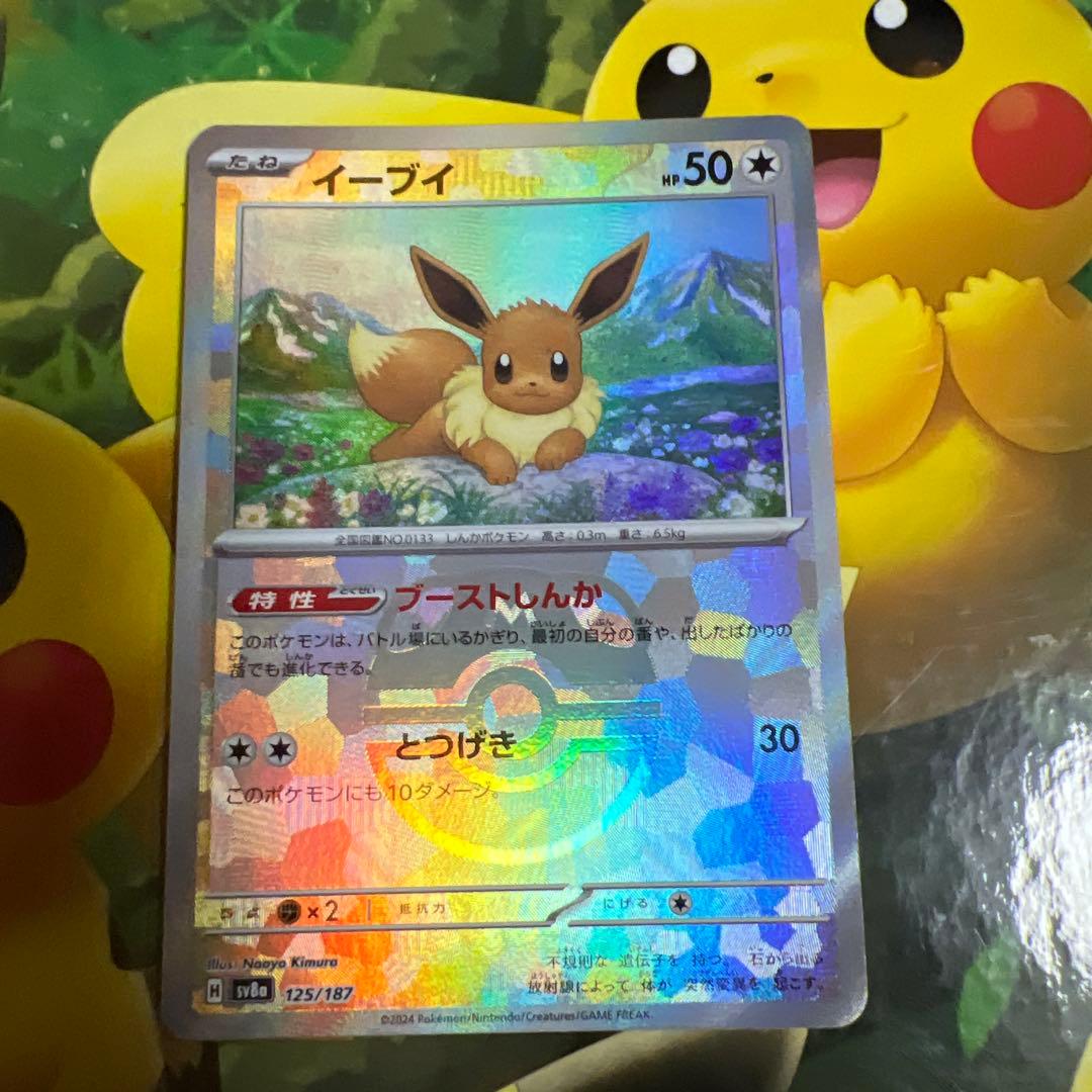Pokemon Bonds of Friendship Mega Ball & Monster Ball Mirror — Japanese