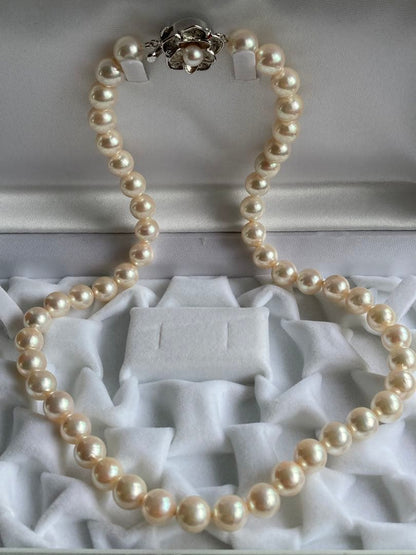 Cream color Akoya pearl necklace with 8-8.5mm pearls and silver clasp, 45cm length