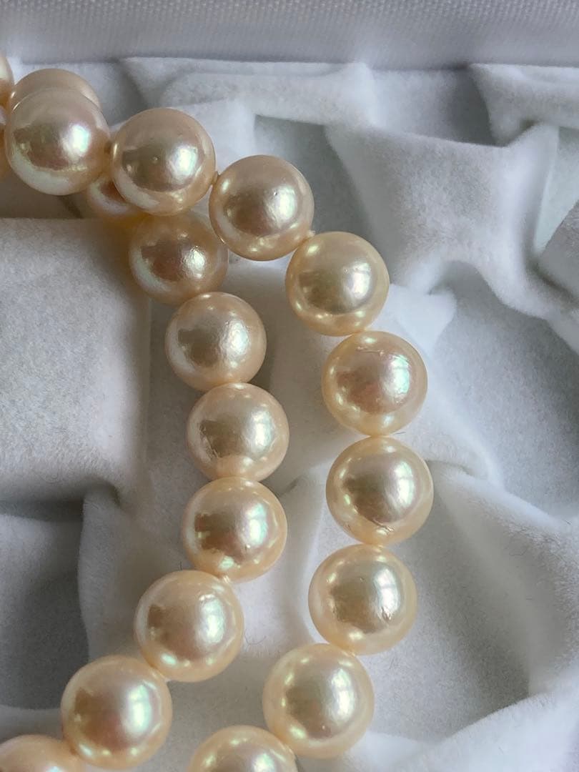 Cream color Akoya pearl necklace with 8-8.5mm pearls and silver clasp, 45cm length