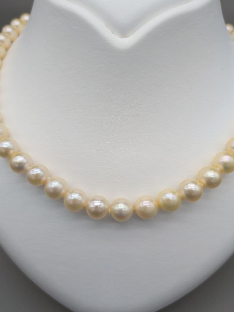 Akoya genuine pearl necklace 42cm with champagne yellow 8-8.5mm pearls and silver clasp