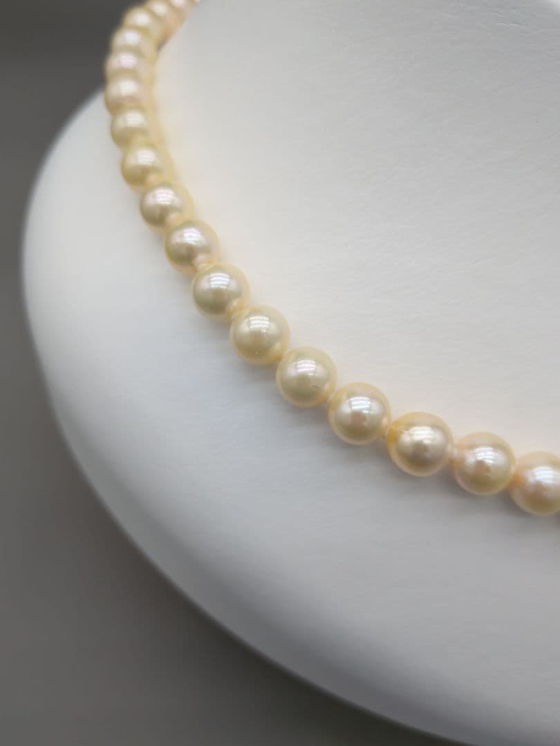 Akoya genuine pearl necklace 42cm with champagne yellow 8-8.5mm pearls and silver clasp