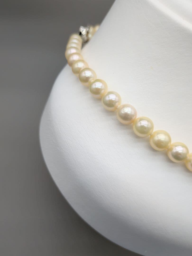 Akoya genuine pearl necklace 42cm with champagne yellow 8-8.5mm pearls and silver clasp