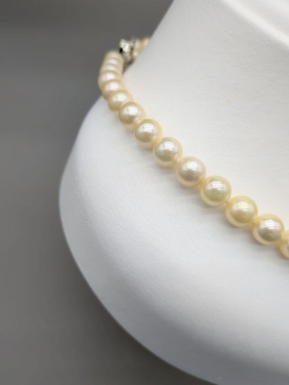 Akoya genuine pearl necklace 42cm with champagne yellow 8-8.5mm pearls and silver clasp