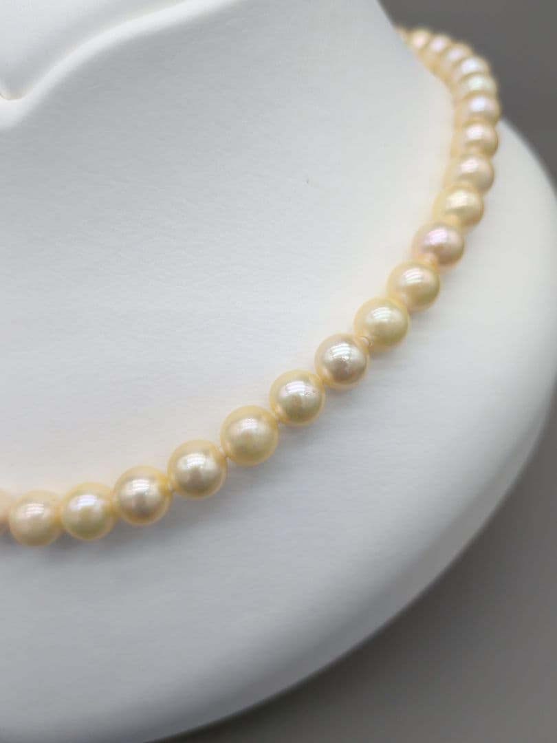 Akoya genuine pearl necklace 42cm with champagne yellow 8-8.5mm pearls and silver clasp