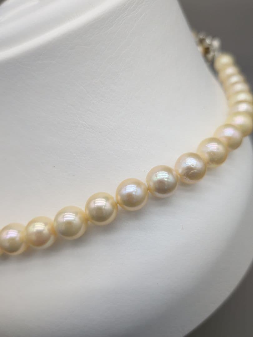 Akoya genuine pearl necklace 42cm with champagne yellow 8-8.5mm pearls and silver clasp