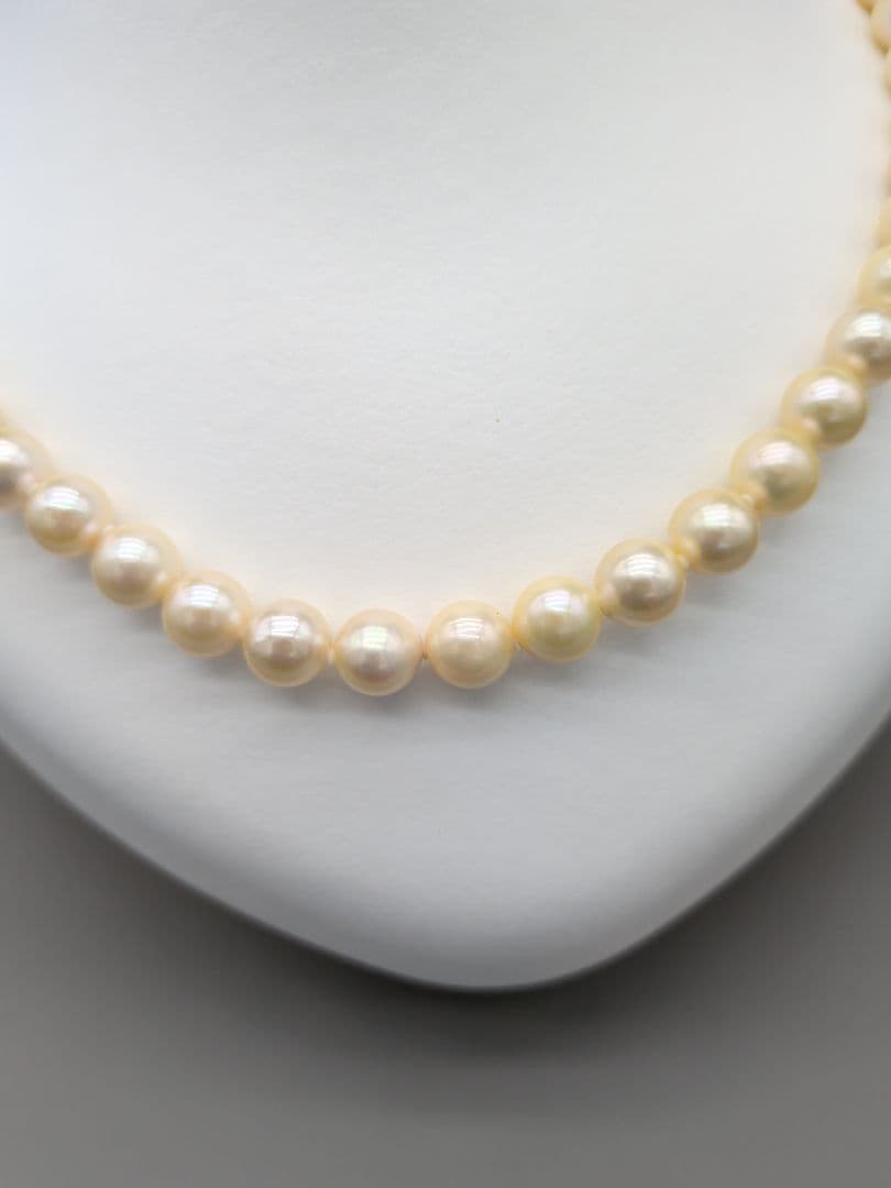 Akoya genuine pearl necklace 42cm with champagne yellow 8-8.5mm pearls and silver clasp