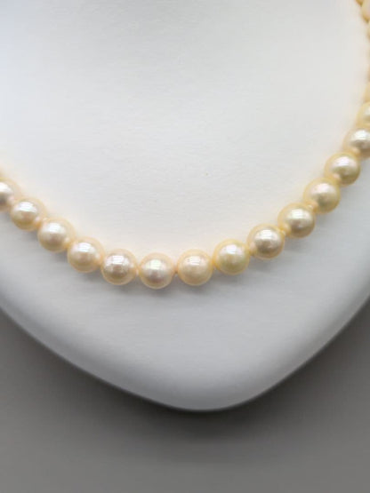 Akoya genuine pearl necklace 42cm with champagne yellow 8-8.5mm pearls and silver clasp