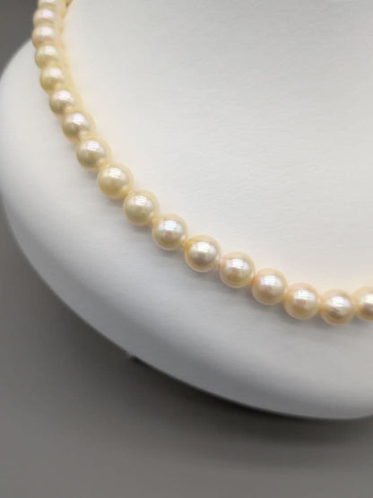 Akoya genuine pearl necklace 42cm with champagne yellow 8-8.5mm pearls and silver clasp