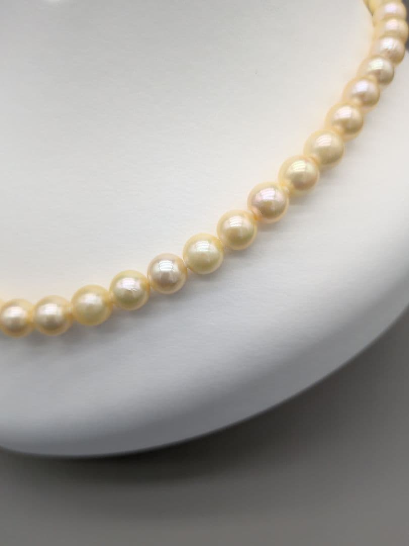 Akoya genuine pearl necklace 42cm with champagne yellow 8-8.5mm pearls and silver clasp