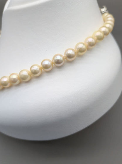 Akoya genuine pearl necklace 42cm with champagne yellow 8-8.5mm pearls and silver clasp